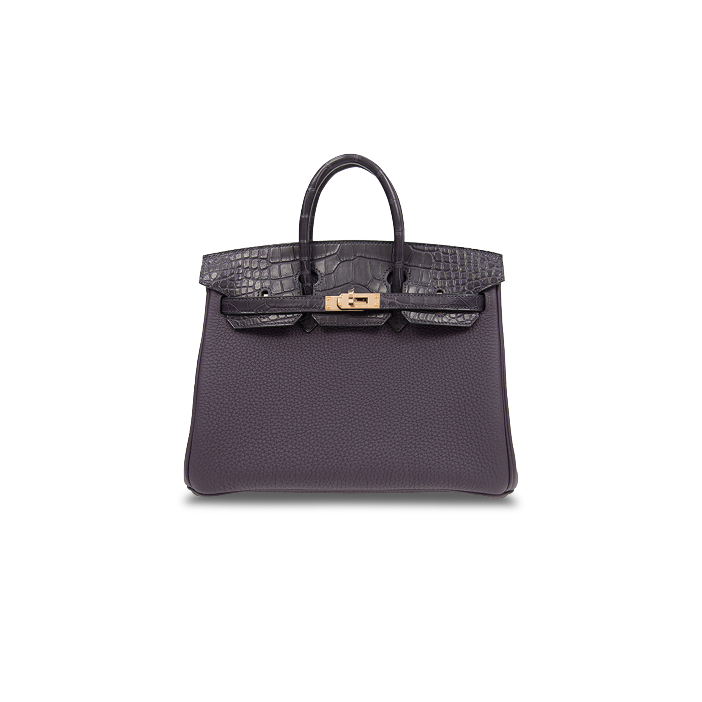 HERMÈS MASTER BIRKIN 25 CROCODILE AND TOGO LEATHER GRAPE PURPLE GOLD BUCKLE H076216CK19 (25*20*13cm)